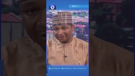 Salary Hike: Resign Or Start A Business, Lots Of Burden On Nigerians, Hamzat Tells Politicians
