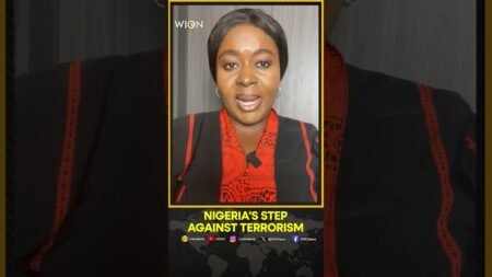 Nigeria’s Step Against Terrorism: U.S. Hails Nigeria Over Arrest Of Ansaru Leaders | WION Shorts