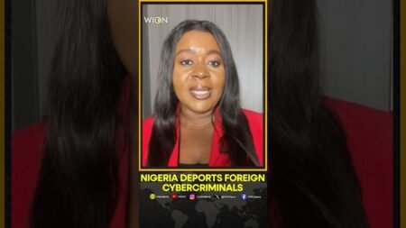 Nigeria Deports 42 Chinese, Philippine Nationals Over Cybercrime | WION Shorts