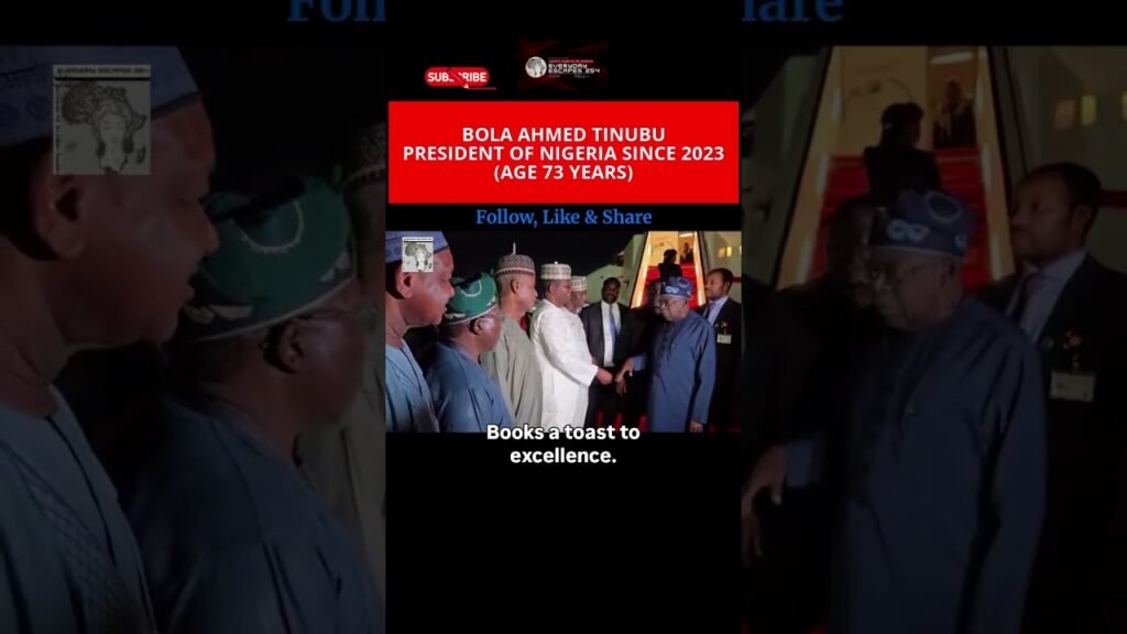 President of Nigeria #news #dakshinafrica #africanleaders