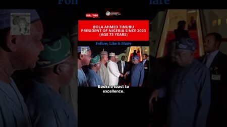 President of Nigeria #news #dakshinafrica #africanleaders