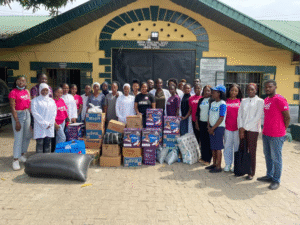 Experts advocate local funding models, government partnerships to sustain Nigerian NGOs