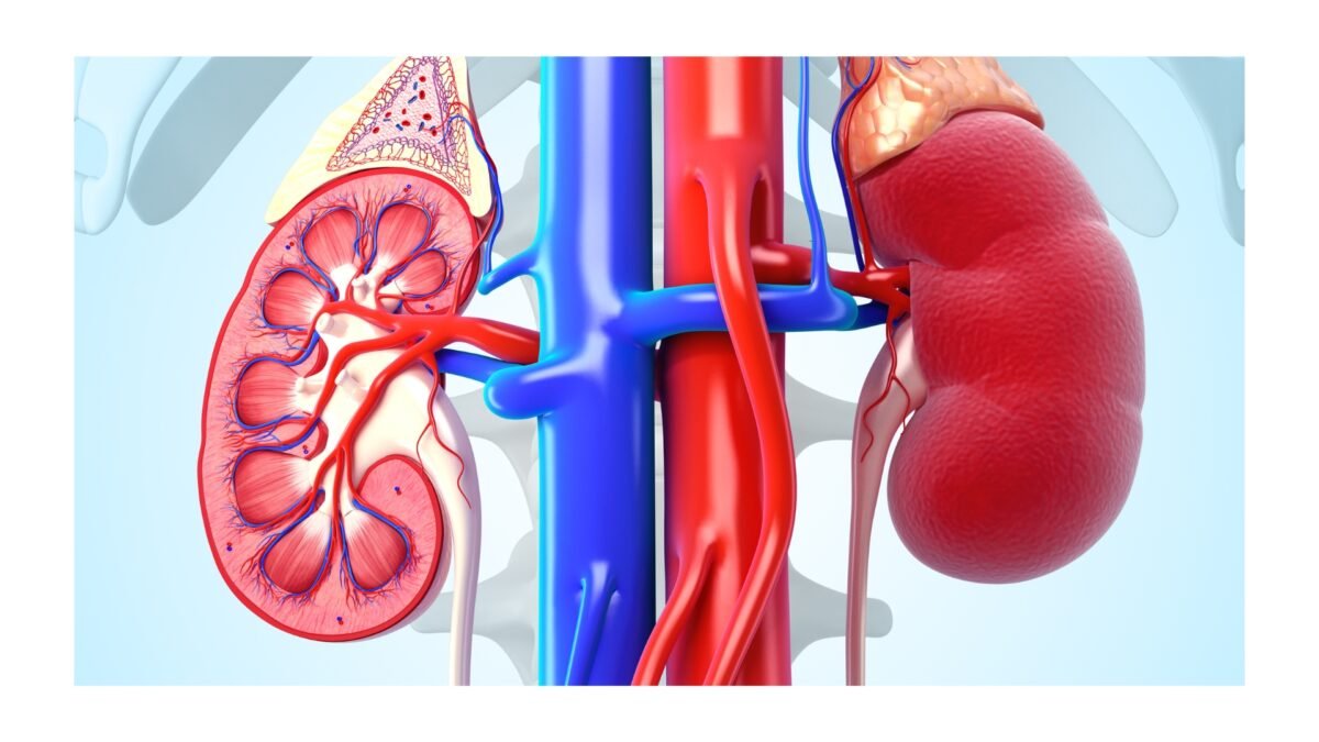 UPDATED: Tinubu subsidises dialysis treatment in public hospitals