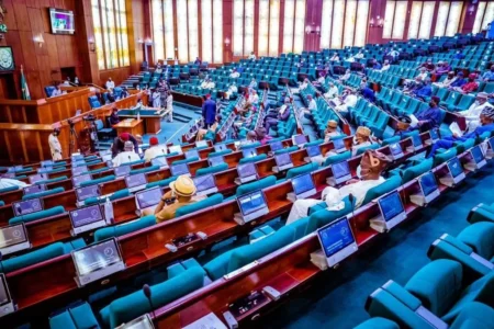 Customs Agents Oppose Reps’ Backing Of Customs Licence Fee Hike – Independent Newspaper Nigeria