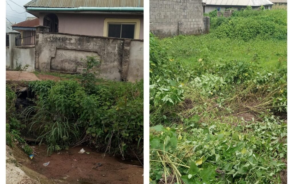 Police Confirms Ilorin Murder, Warn Against Ritual Panic – Independent Newspaper Nigeria