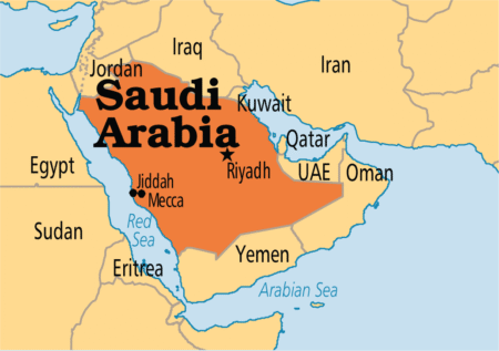 Saudi Arabia detains Nigerian woman over alleged drug-related luggage mix-up