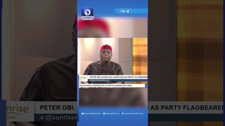 There Was Nothing Extra-Ordinary Jonathan Offered As President – PDP Chieftain