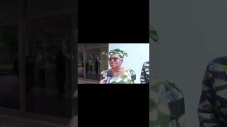 #WTO Boss Okonjo-Iweala Hails Tinubu Over Nigeria’s Economic Stability