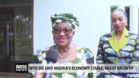 WTO DG SAYS NIGERIA’S ECONOMY STABLE, NEEDS GROWTH