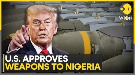 US Approves Sale Of Precision Weapons To Nigeria, Ammunition To Bolster Counter-Terrorism | WION
