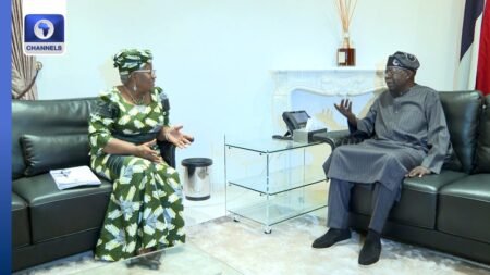 Hardship: Okonjo-Iweala Calls For Social Safety Nets After Meeting With Tinubu