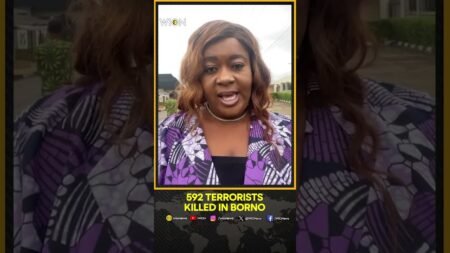 Nigeria Kills Over 600 Terrorists In Eight-Month Air Campaign | WION Shorts