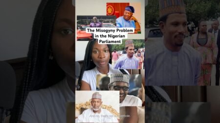The Misogyny Problem in the Nigerian Parliament. #foryourpage #nigeria #nigerianews #nigerian