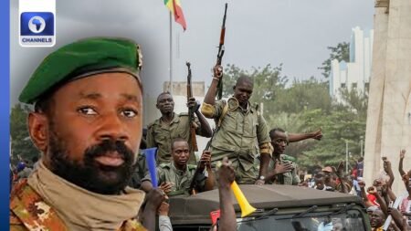 Two Generals, Over 40 Soldiers Arrested In Mali Coup Attempt + More | Network Africa
