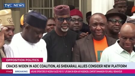 Cracks Widen In ADC Coalition, As Shekarau, Allies Consider New Paltform