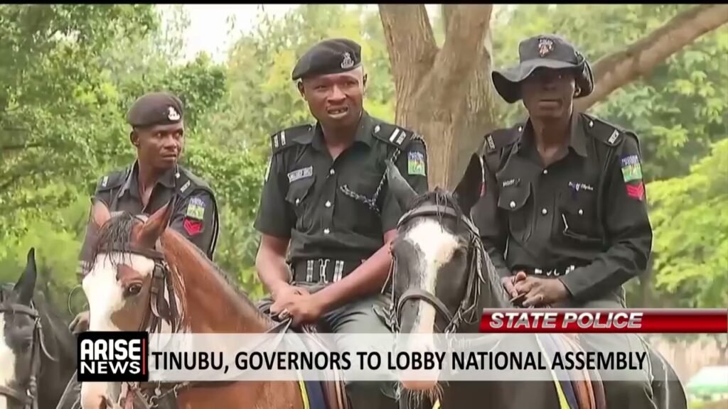 TINUBU CANVASSES CREATION OF STATE POLICE
