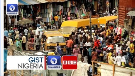 Road To Inclusion: See How Complex It Is To Become A Nigerian Citizen