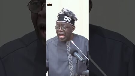 Tinubu Brags That Nigeria Does Not Borrow from Any Local Banks Anymore #government #shorts