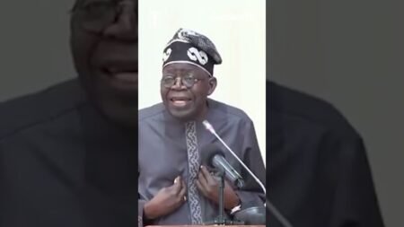 Nigeria has met its revenue target, and not borrowed locally, says Tinubu