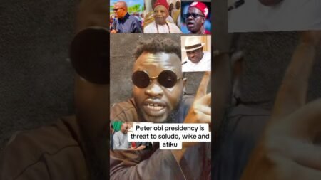 #politics #nigerianelection #nigerianews #peterobi #atiku #fyp #america #africa #goviral #vdm #naija