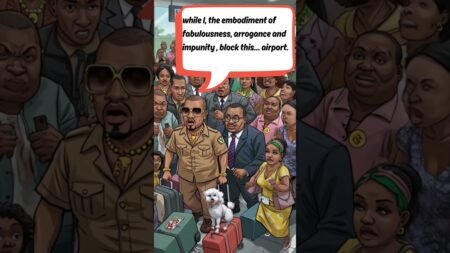 The KWAMS – Airport Blockade #comedy #nigerianews #catwalk #celebrity #reels