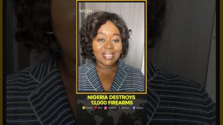 Federal Government Destroys 13,000 Illegal Firearms to Curb Proliferation | WION Shorts