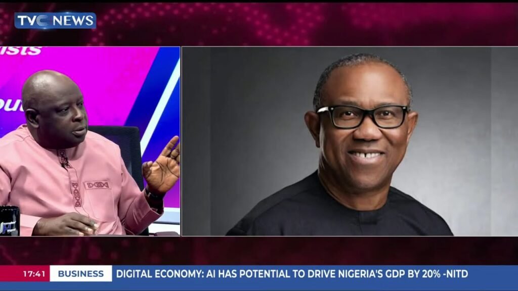 Deji Adeyanju Rejects Peter Obi’s Demand To Retract Claims Deji Adeyanju Rejects Peter Obi’s Demand To Retract Claims