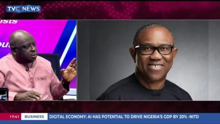 Deji Adeyanju Rejects Peter Obi’s Demand To Retract Claims