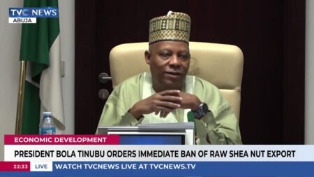President Bola Tinubu Orders Immediate Ban Of Raw Shea Nut Export