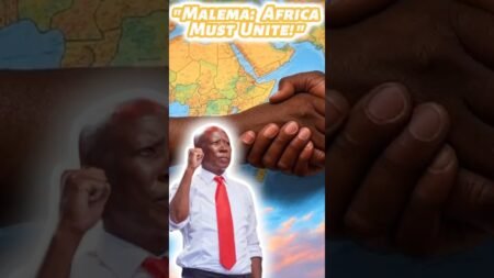 Julius Malema’s BOLD Call for African Unity! #shorts