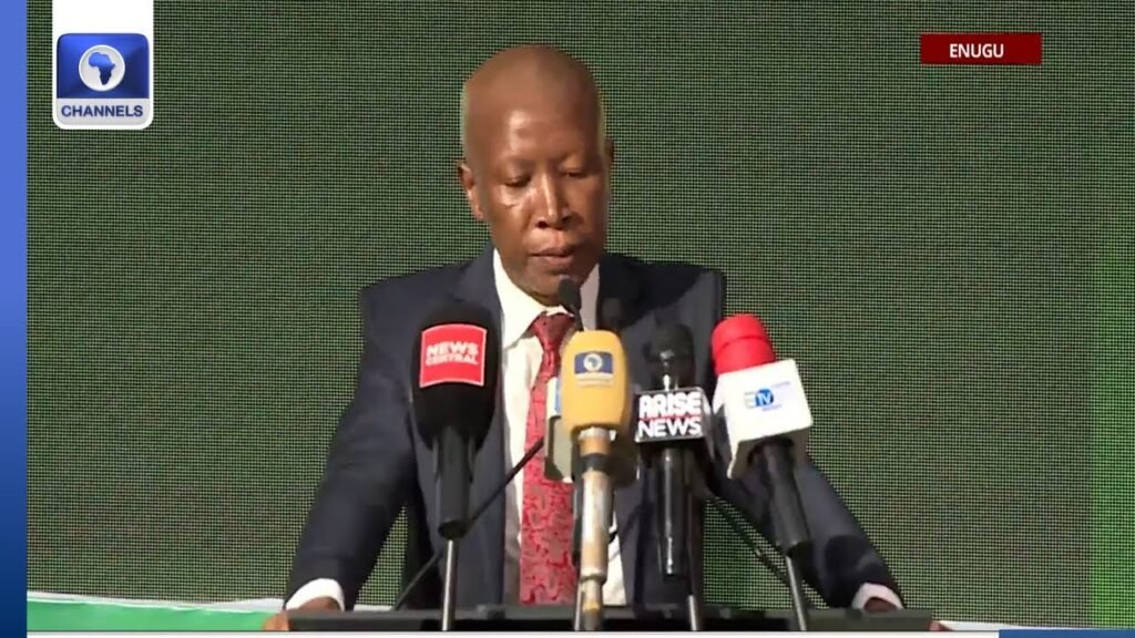 Africa’s Salvation Lies In Our Hands, Not In Washington, Beijing – Malema