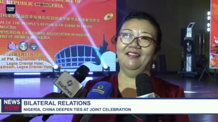 Bilateral Relations: Nigeria, China deepen ties at joint celebration