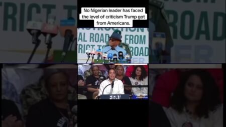 No Nigerian leader has faced the level of criticism Trump got from Americans.