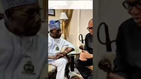 PETER OBI & OBASANJO DROP BOMBSHELL 4 YEARS ENOUGH TO FIX NIGERIA IN 2027!