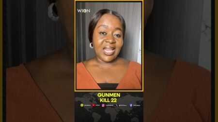 Gunmen Kill 22 People During Baptism Ceremony in Niger | WION shorts