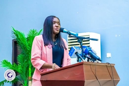 NCAA warns airlines about unruly passengers, outlines reforms