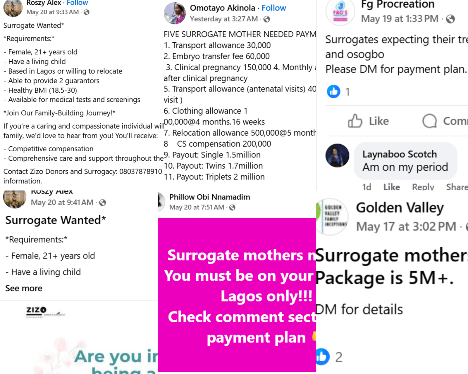 A collage of surrogate adverts in the group. Photo credit: DUBAWA.