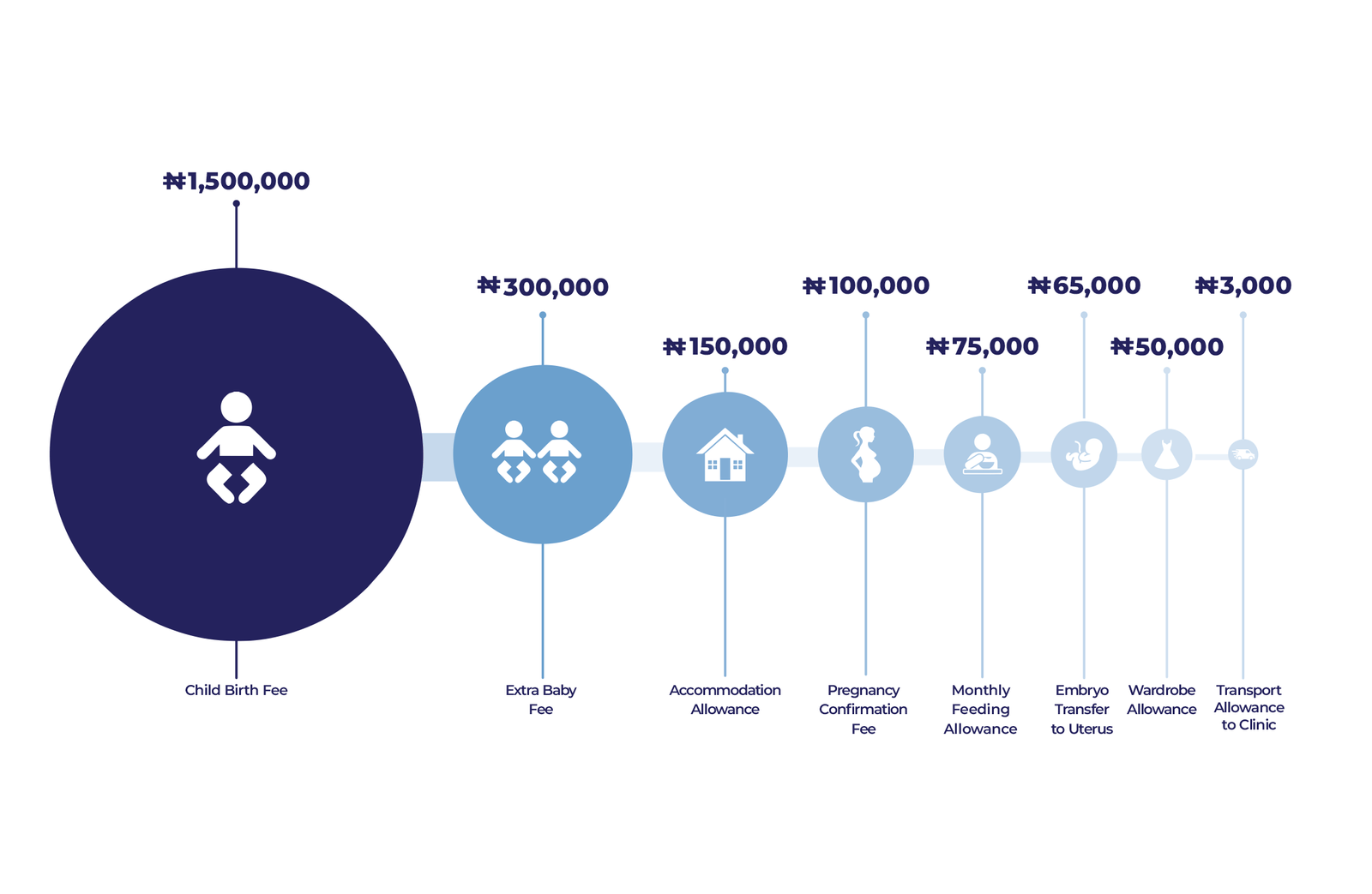 An infographic representation of the breakdown of the N2,243,000 payment plan. Photo credit: DUBAWA.