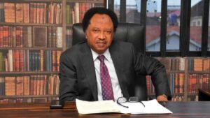 Shehu Sani tasks Fulani on image laundering Shehu Sani tasks Fulani on image laundering