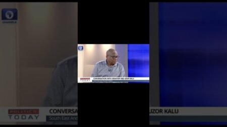POLITICAL ISSUES #news #viral #tinubu