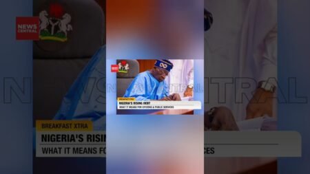 “Nigeria Borrowing To Pay Debt On Debt  Citizens Shrink While Politicians Grow ”