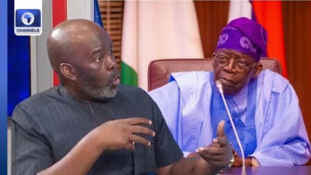 Insulting Tinubu, Rubbishing Nigeria, Is A Complete Distraction To a Greater Future – Dr Adegbenro