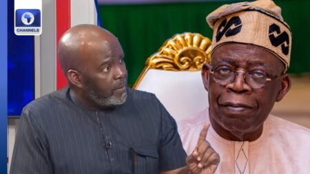 Tinubu Doing All He Can To Launder Image Of Nigeria Abroad – Dr Rewane Adegbenro