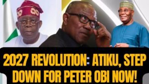 Peter Obi is Nigeria’s choice to defeat Tinubu In 2027 #nigeria #nigerianews #peterobi