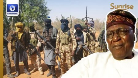 Afenifere Leader Accuses APC Of ‘Importing Bandits’ Into Nigeria
