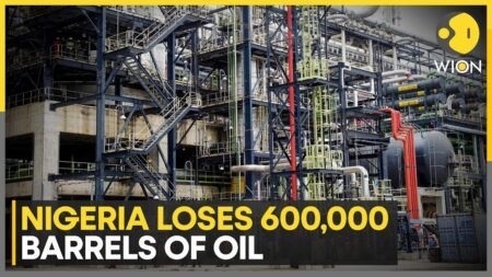 Dangote Refinery Strike Cuts Nigeria Oil Output By 600,000 Barrels | WION News