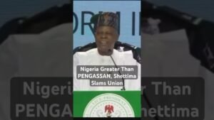 Nigeria Greater Than PENGASSAN, Shettima Slams Union