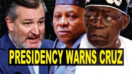 Tinubu Reprimands Ted Cruz For Sponsoring A Bill That’ll Impose Sanctions On Nigerian Politicians