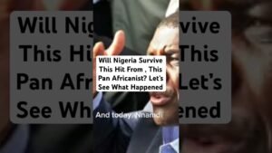 Will Nigeria Survive This Hit From , This Pan Africanist? Let’s See What Happened