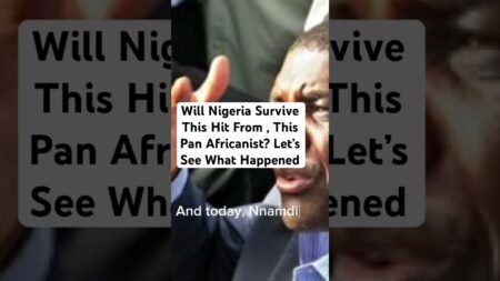 Will Nigeria Survive This Hit From , This Pan Africanist? Let’s See What Happened